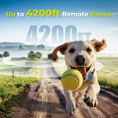 PAWCOMMAND Pro | Precision Remote Dog Training