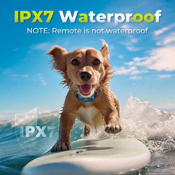 PAWCOMMAND Pro | Precision Remote Dog Training