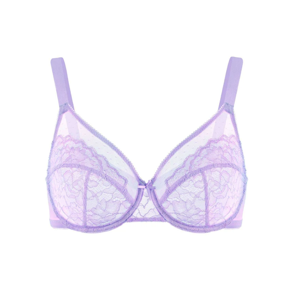 Lace Elegance Minimizer Bra Set