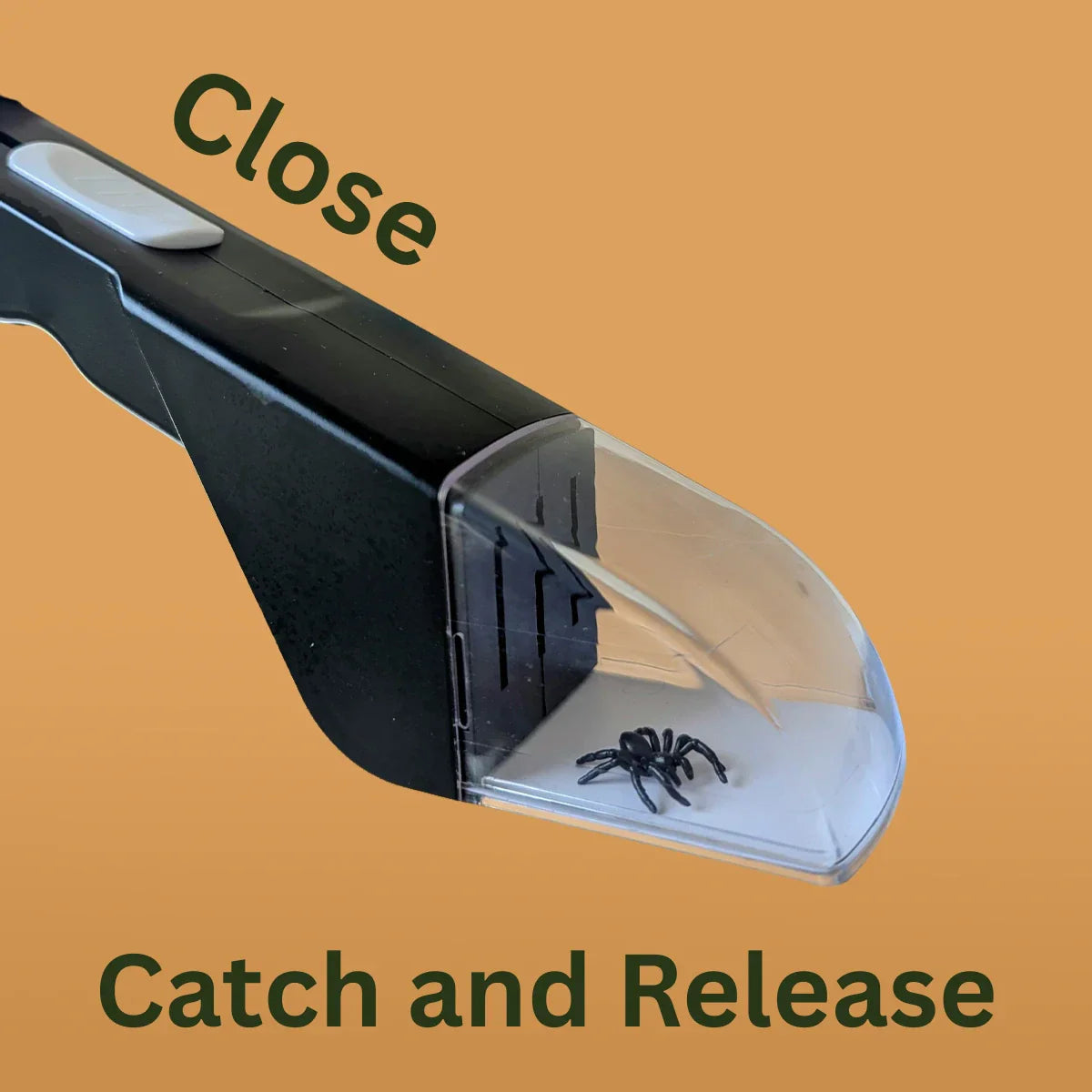 SafeSnap™ Insect Catcher