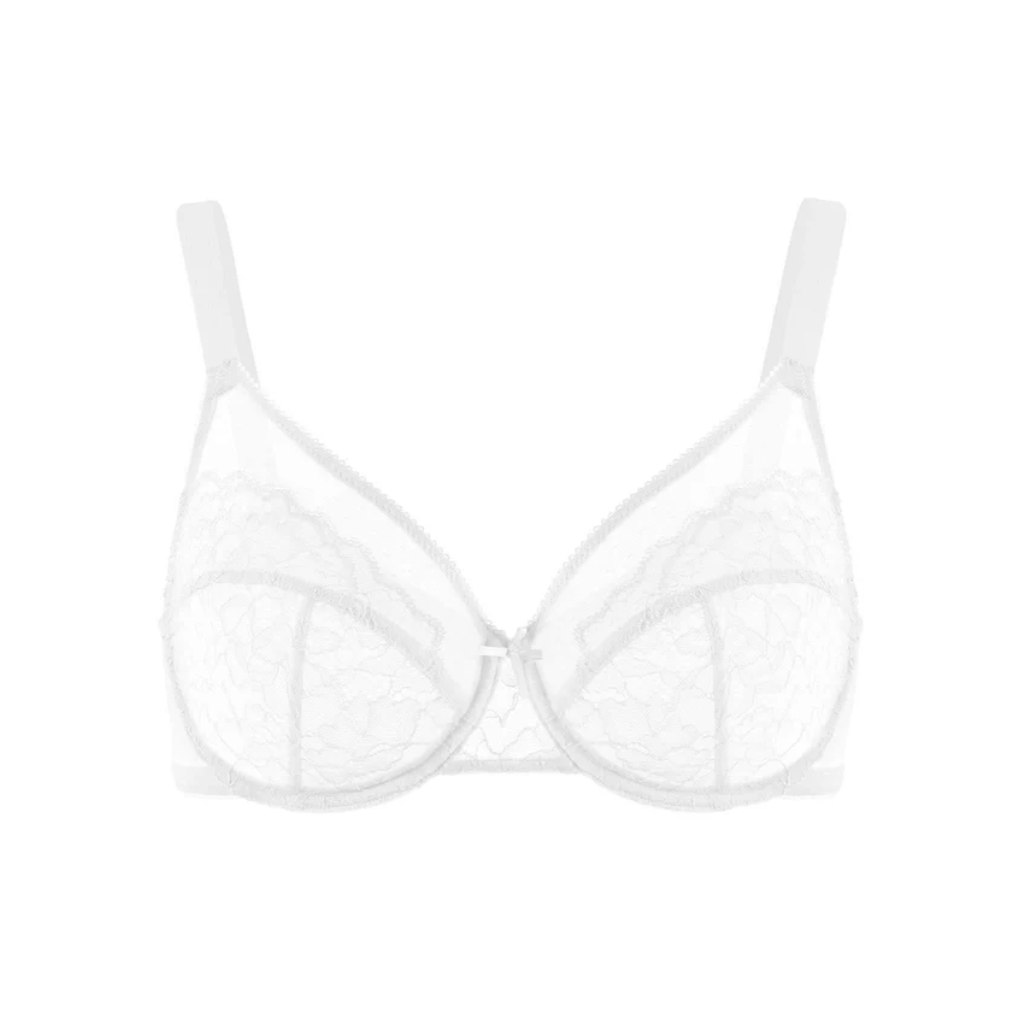 Lace Elegance Minimizer Bra Set