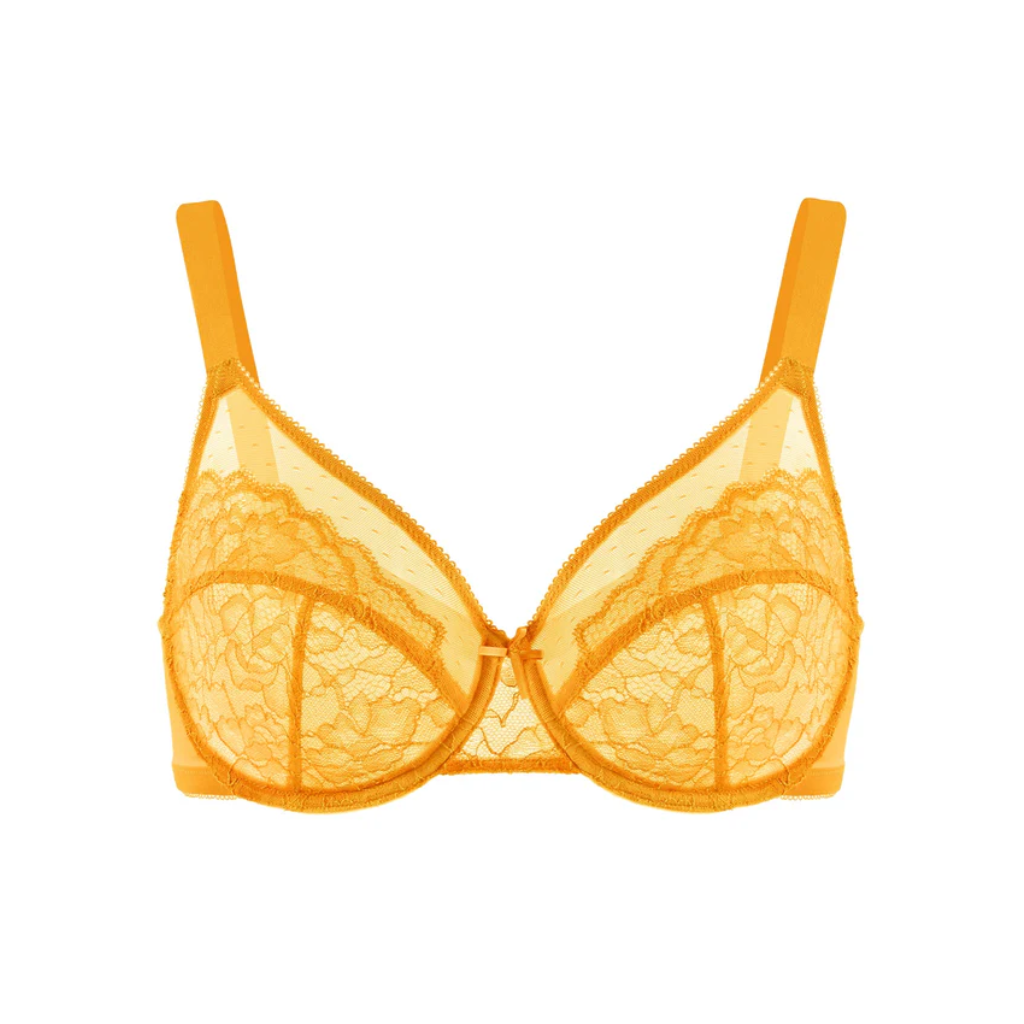 Lace Elegance Minimizer Bra Set