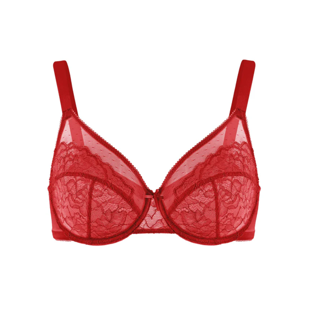 Lace Elegance Minimizer Bra Set