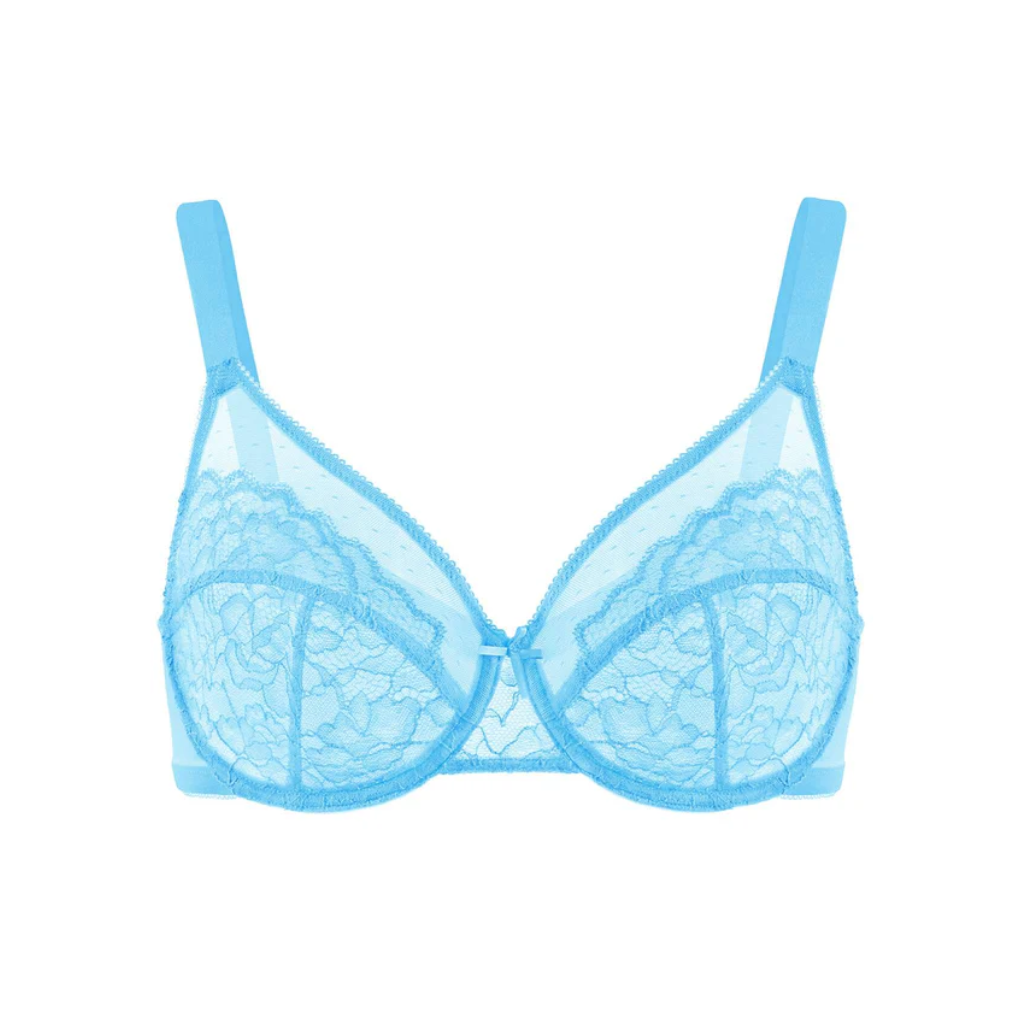 Lace Elegance Minimizer Bra Set