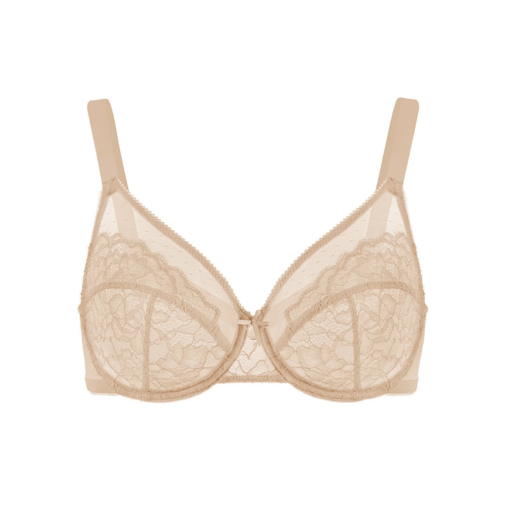 Lace Elegance Minimizer Bra Set